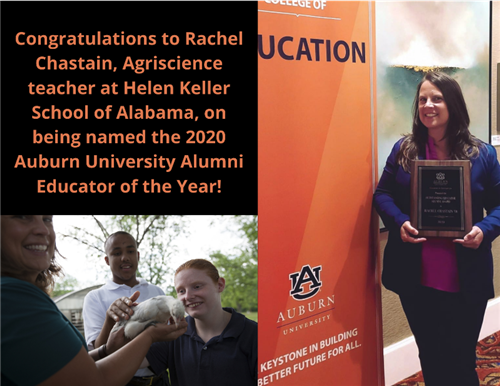 Congrats to Rachel Chastain on being named 2020 AU Alumni Educator of the Year; Rachel with students